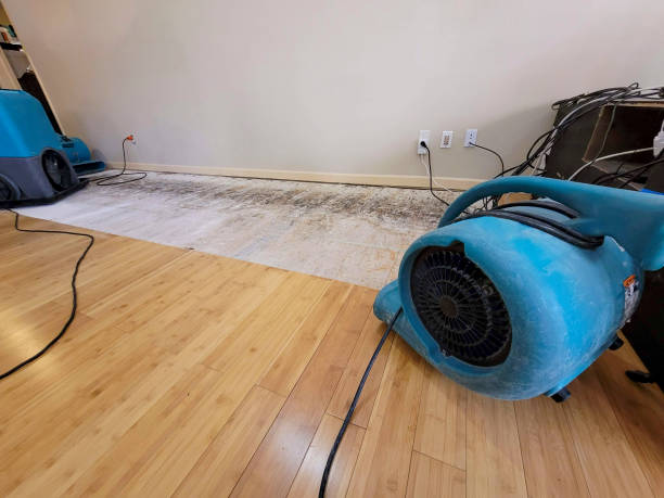 Professional Basement Flood Cleanup technician working in Janesville, WI
